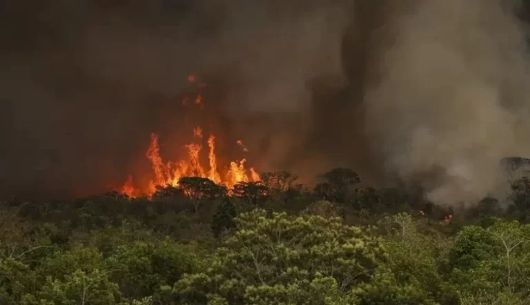 Câmara aprova aumento de punição a quem provocar incêndios florestais