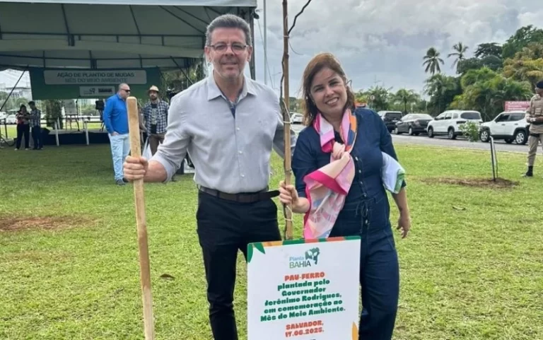 Junho Verde: Saeb realiza ações de sustentabilidade e preservação ambiental