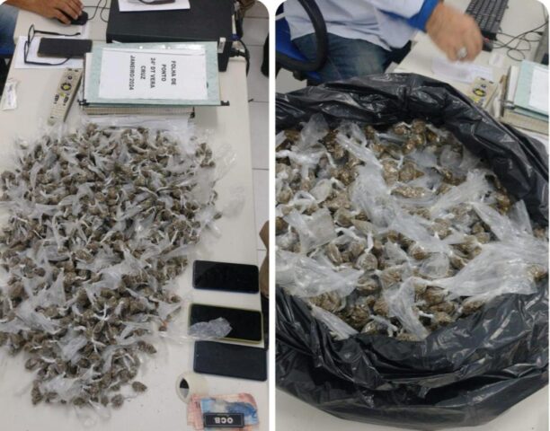 Mais de 1200 porções de maconha são apreendidas pela PM na Ilha de Itaparica