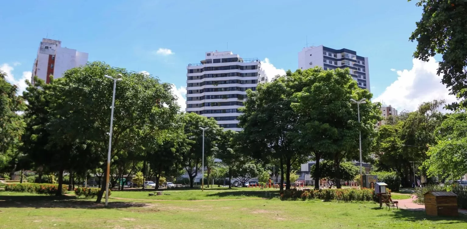 Salvador recebe encontro nordestino para debater arborização urbana e mudanças climáticas