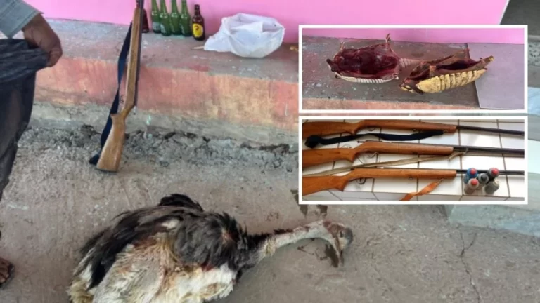CAÇADORES ILEGAIS: Dupla é presa com armas e animais silvestres abatidos na BA-052