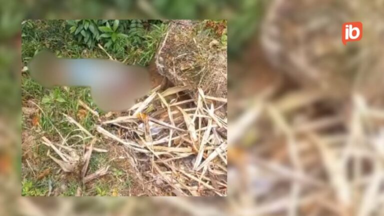 JHON DA 11: Homem baleado em matagal de Cajazeiras não resiste