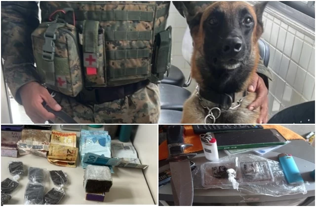 CIPÓ: Ações da CIPE Nordeste apreendem drogas enterradas, munição e duas pessoas são detidas