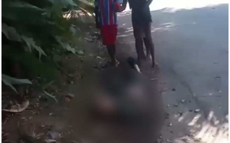 PIATÃ: Homem retirado de carro de app e morto a tiros por criminosos