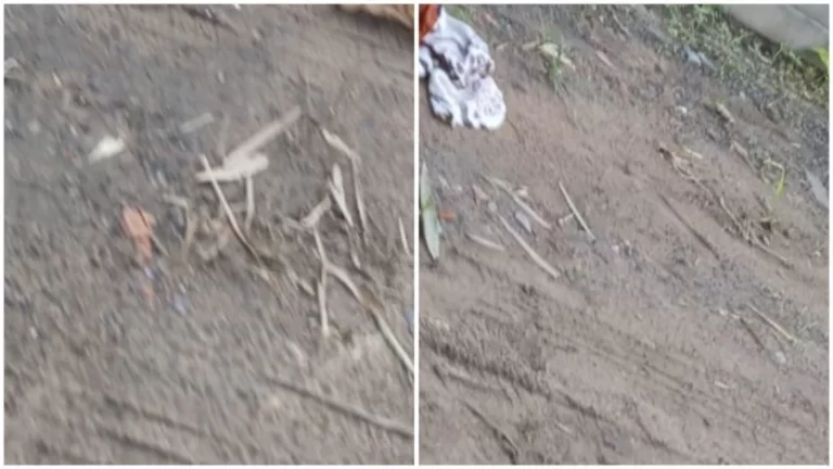VIOLÊNCIA NA RMS: Corpo é encontrado na entrada da comunidade Jato de Areia