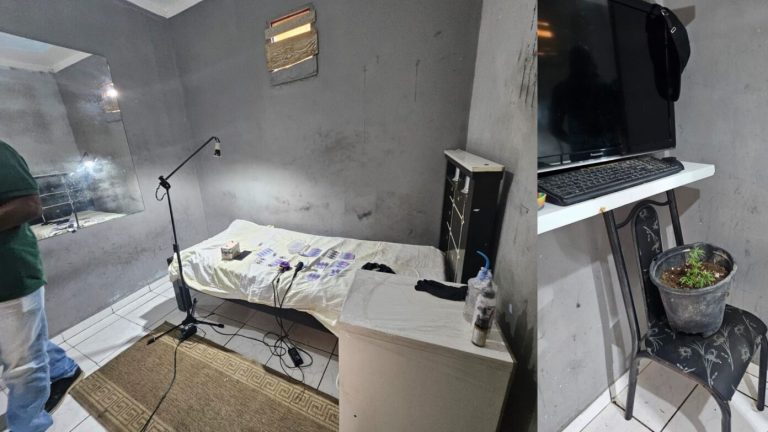PAGOU COM O CELULAR: Estúdio clandestino de tatuagem é fechado em Santo Estevão; saiba detalhes