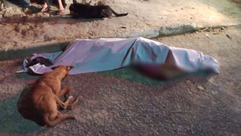 Cão sem dono vela homem morto a facadas na Bahia; crime aconteceu por conta de um cavalo