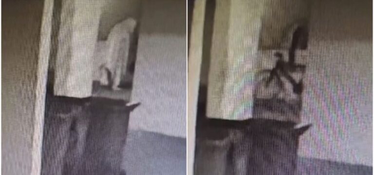 SUSPEITO FANTASMA? Homem furta bicicleta enrolado em lençol no bairro da Graça