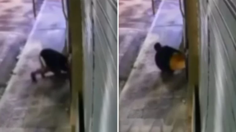 FEZ A FESTA! Bandido arromba loja e leva eletrônicos no centro de Brumado; veja vídeo