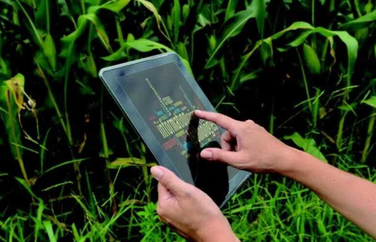 Serpro vai desenvolver plataforma digital de inovação agropecuária