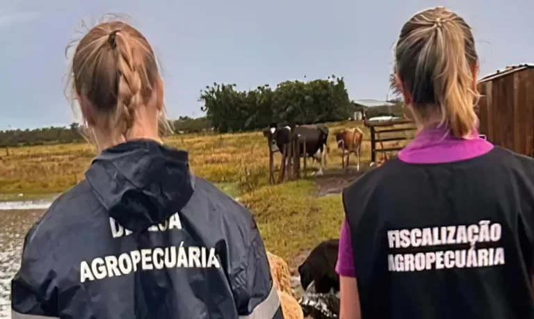 Zoológico de Brasília é fechado após suspeita de gripe aviária