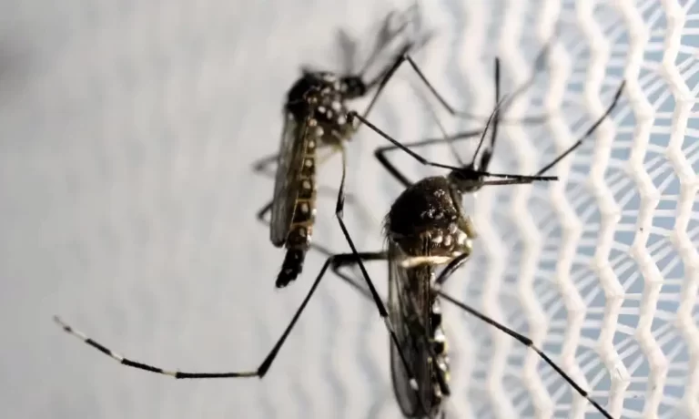 Mais de R$ 140 milhões foram destinados a ações contra o Aedes Aegypti