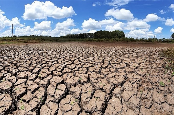 SECA E ESTIAGEM: 11 municípios da região de Irecê decretam estado de emergência