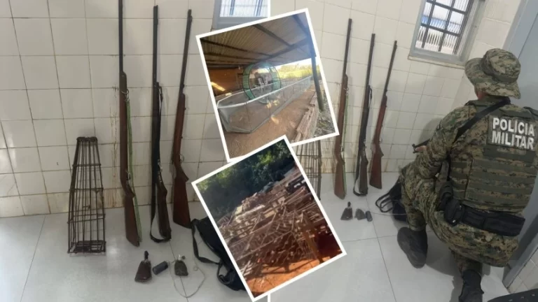 RINHA ILEGAL! PM acaba com maus-tratos a galos e apreende armas em São Desidério