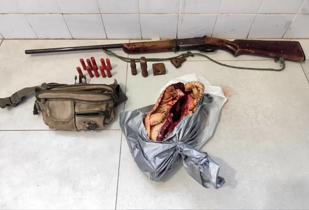 CATOLÂNDIA: Polícia apreende espingarda, apetrechos de caça e tatu abatido por caçador